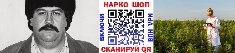 Где купить наркоту Домодедово ГАШИШ  Амфетамин  МЕФ 