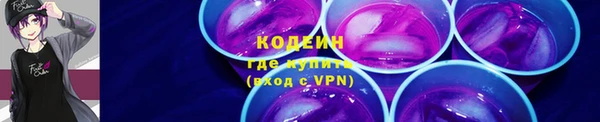 крисы Вязьма