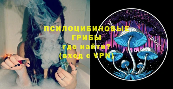 крисы Вязьма