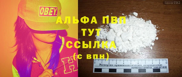 стаф Вяземский