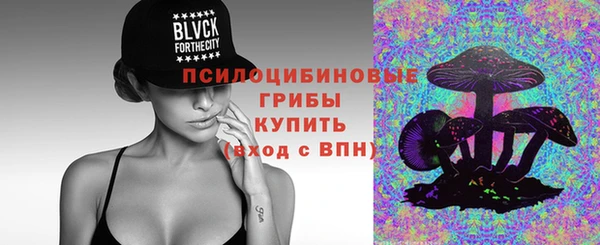 стаф Вяземский