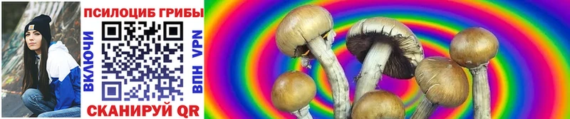 Галлюциногенные грибы Psilocybe  цена наркотик  Домодедово 